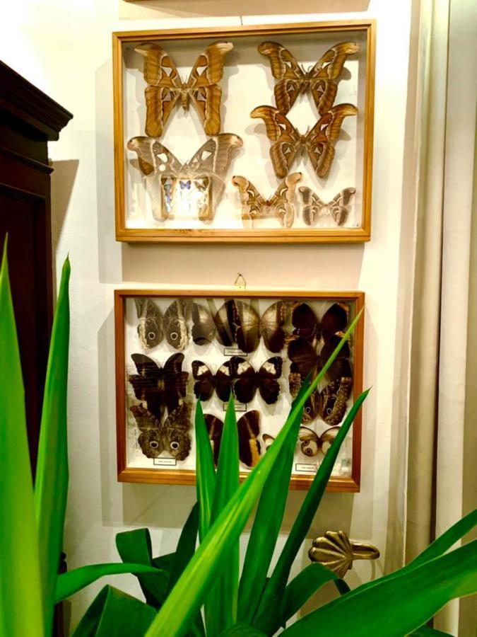 Butterfly Apartman Budapest